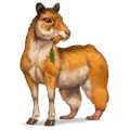 cheval sauvage hamster doré