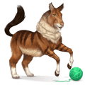 cheval sauvage maine coon