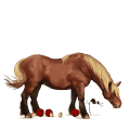 licorne de selle barbe bai brûlé