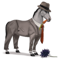 cheval de selle tinker alezan brûlé crins lavés