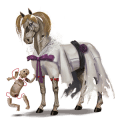 cheval de selle kwpn gris clair