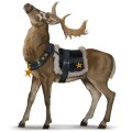 cheval divin pranzer