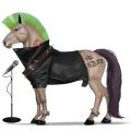 poney français de selle isabelle