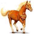 cheval divin wikaïla