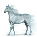 cheval de l'eau rosée