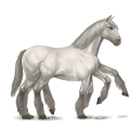 sleipnir blanc