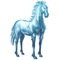 cheval de l'eau snow