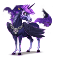 cheval de selle arabe bai cerise