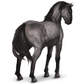 cheval sauvage sorraia