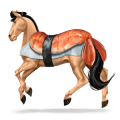 cheval divin sushi