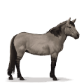 cheval préhistorique tarpan
