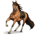 cheval spécial tormenta