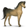 cheval du système solaire vénus