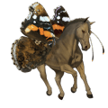 cheval de selle arabe noir