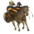 cheval de selle brumby rouan