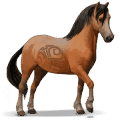 cheval sauvage welsh mountain