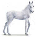 cheval de l'eau flocon
