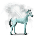 cheval de l'eau geyser