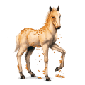 cheval des pierres précieuses topaze