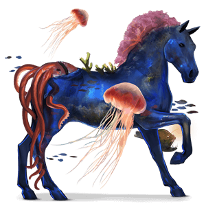 cheval de selle criollo argentin bai