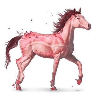 cheval des pierres précieuses agate