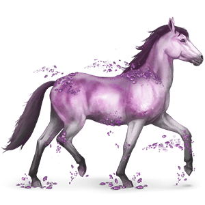 cheval des pierres précieuses améthyste