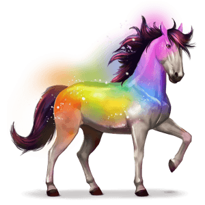 cheval de l'arc-en-ciel secret rainbow