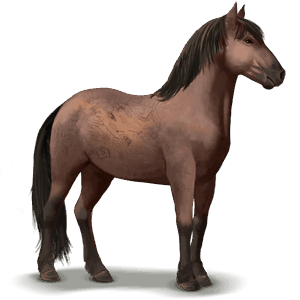 cheval sauvage banker