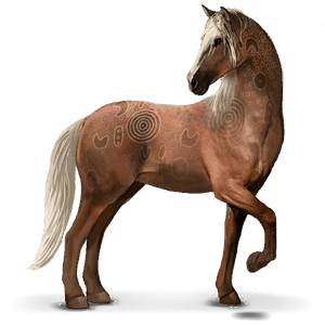 cheval sauvage brumby