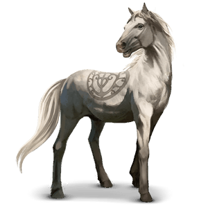 cheval sauvage camargue
