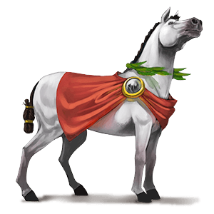 cheval de selle arabe alezan