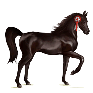 cheval de selle cheval islandais alezan