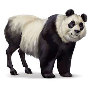 cheval sauvage panda