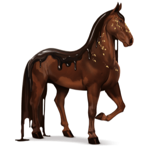 cheval divin chocolat noir