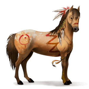 poney shetland bai cerise