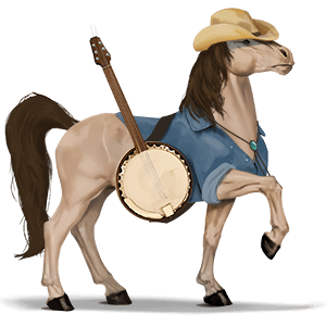 cheval de selle criollo argentin bai