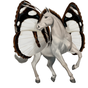 cheval de selle arabe aubère