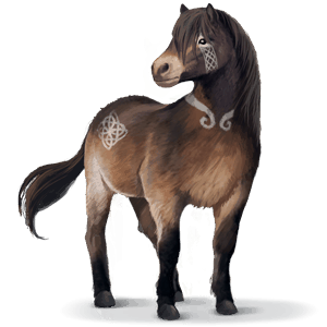 cheval sauvage exmoor