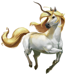 cheval divin piccolo