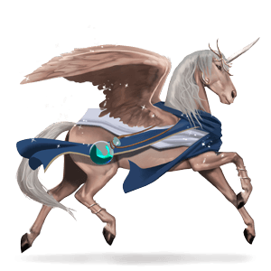 cheval de selle marwari alezan brûlé