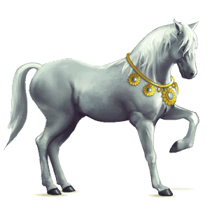 cheval de selle arabe gris souris