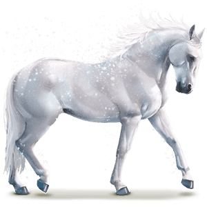 cheval de l'eau flocon