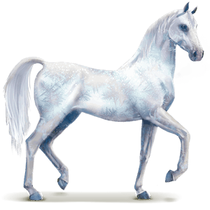 cheval de l'eau givre