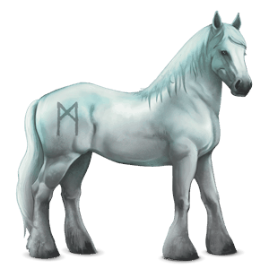 cheval divin greyfell  12
