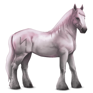 cheval divin greyfell   6