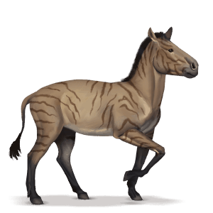 cheval préhistorique hipparion