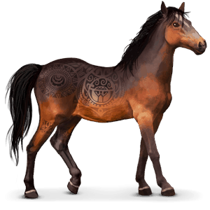 cheval sauvage kaimanawa