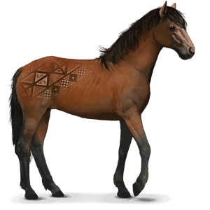 cheval sauvage kundudo
