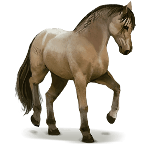 cheval sauvage lavradeiro