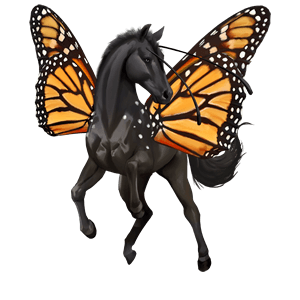 cheval de selle pur-sang anglais bai brûlé